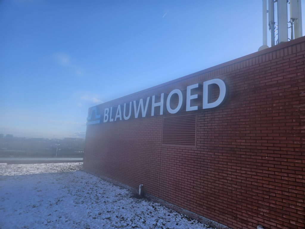Blauwhoed